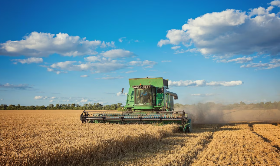 Corn, Soybeans, and Wheat Futures Dip as Market Factors Impact Grain Prices