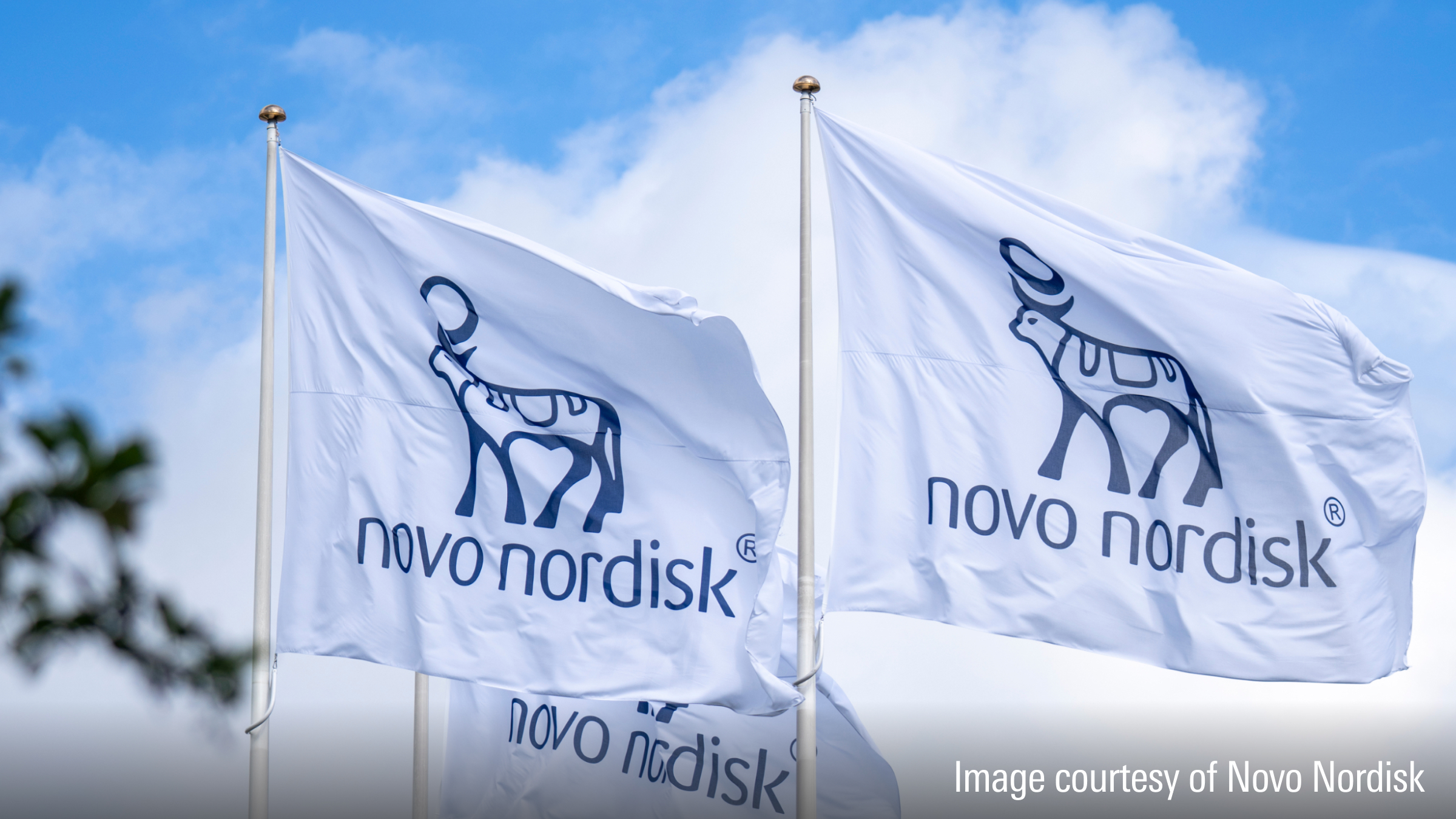 Novo Nordisk Stock Price Forecast - NVO Shares Rebounds from a 59% Collapse: Deep Value Opportunity or Structural Shift?