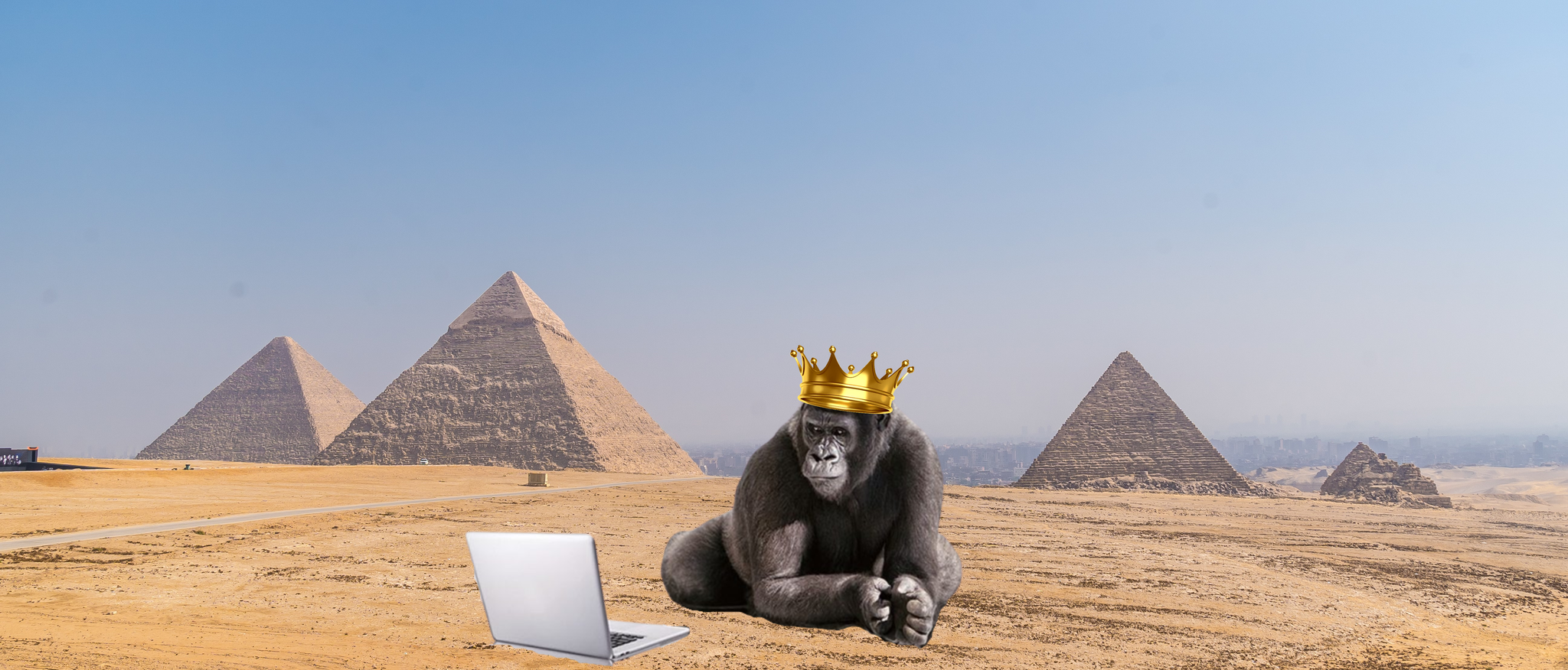 Gorilla Technology's Stock Game-Changing $270M Government Contract