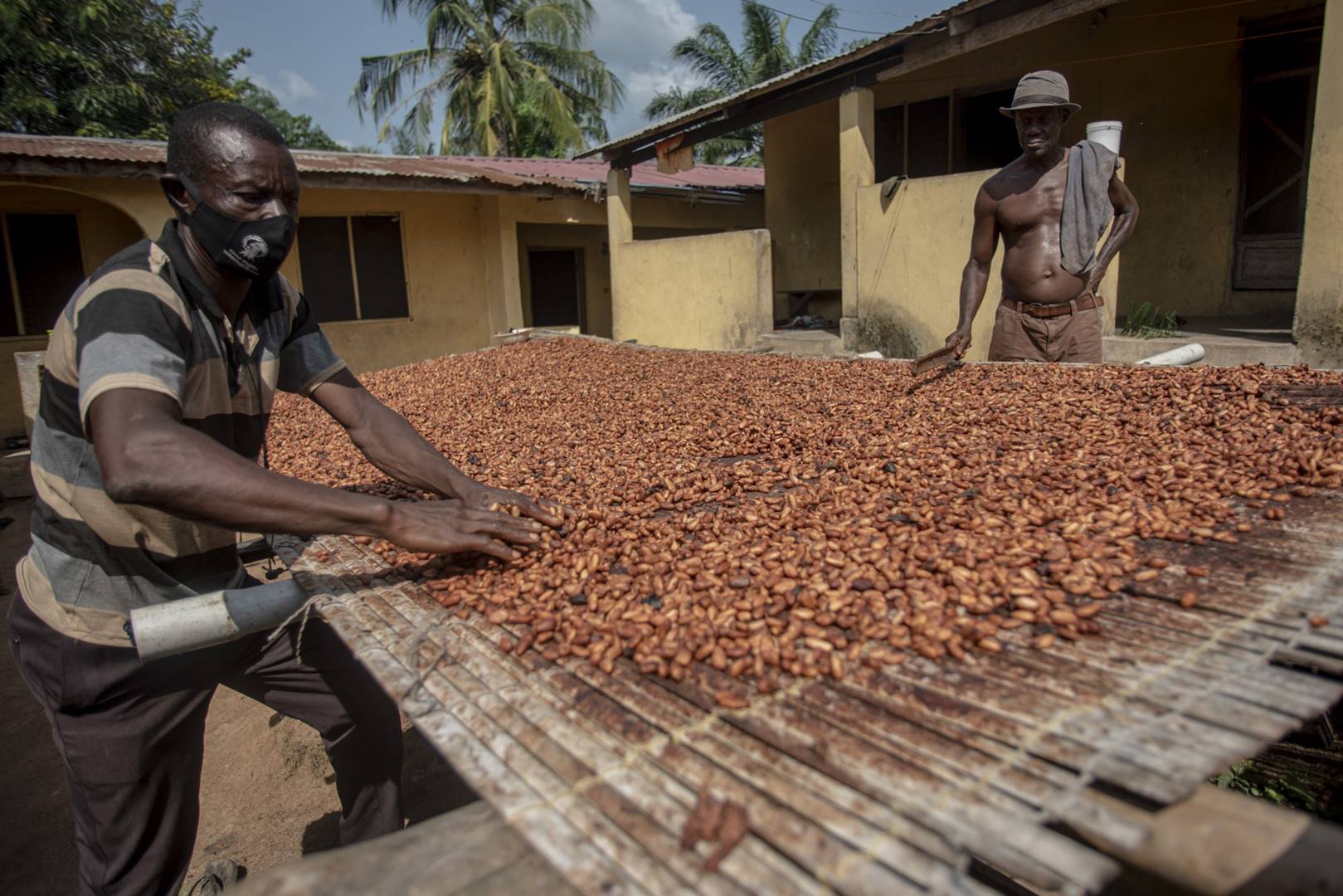 Cocoa Market 2024 - Rising Prices and Their Chocolate Industry Ripple Effects