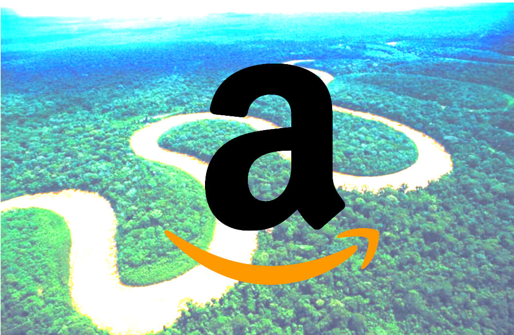 Amazon 2024 New Horizons in E-commerce, Cloud Computing, and Entertainment