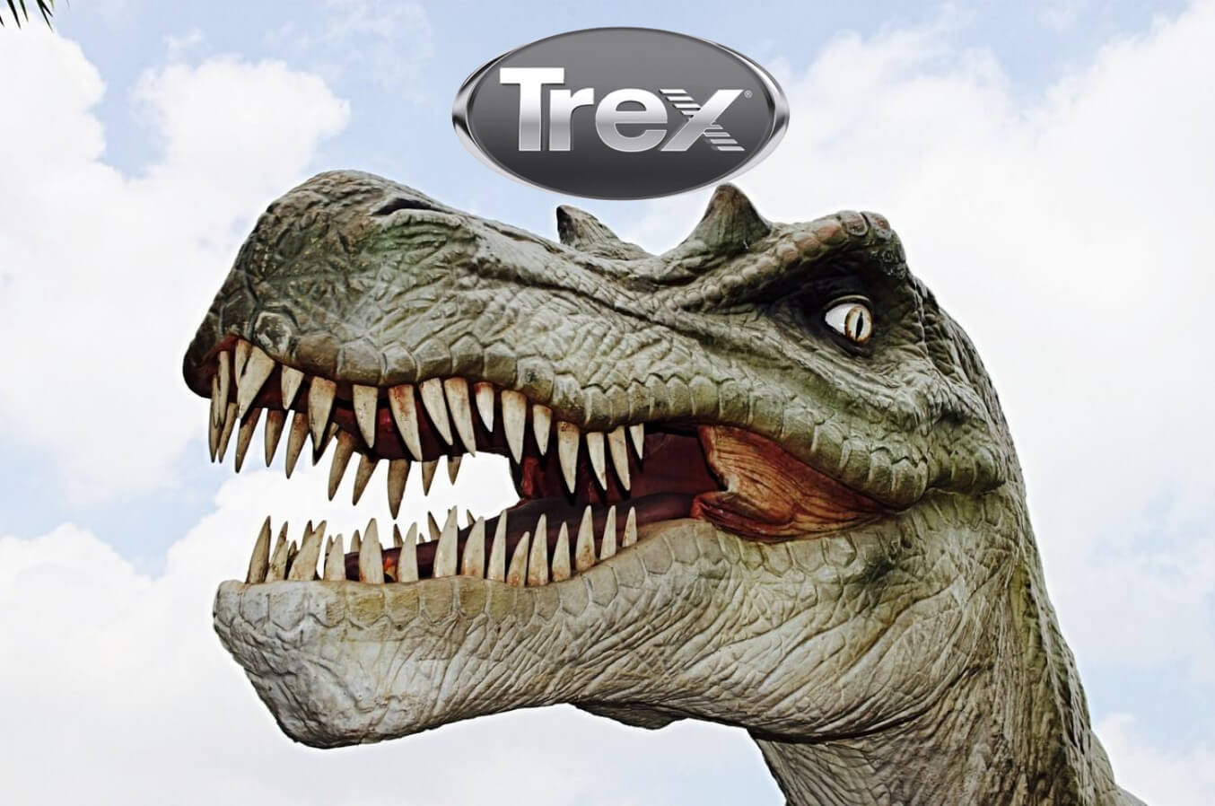 Trex Stock Resilience and Strategic Growth in a Volatile Market