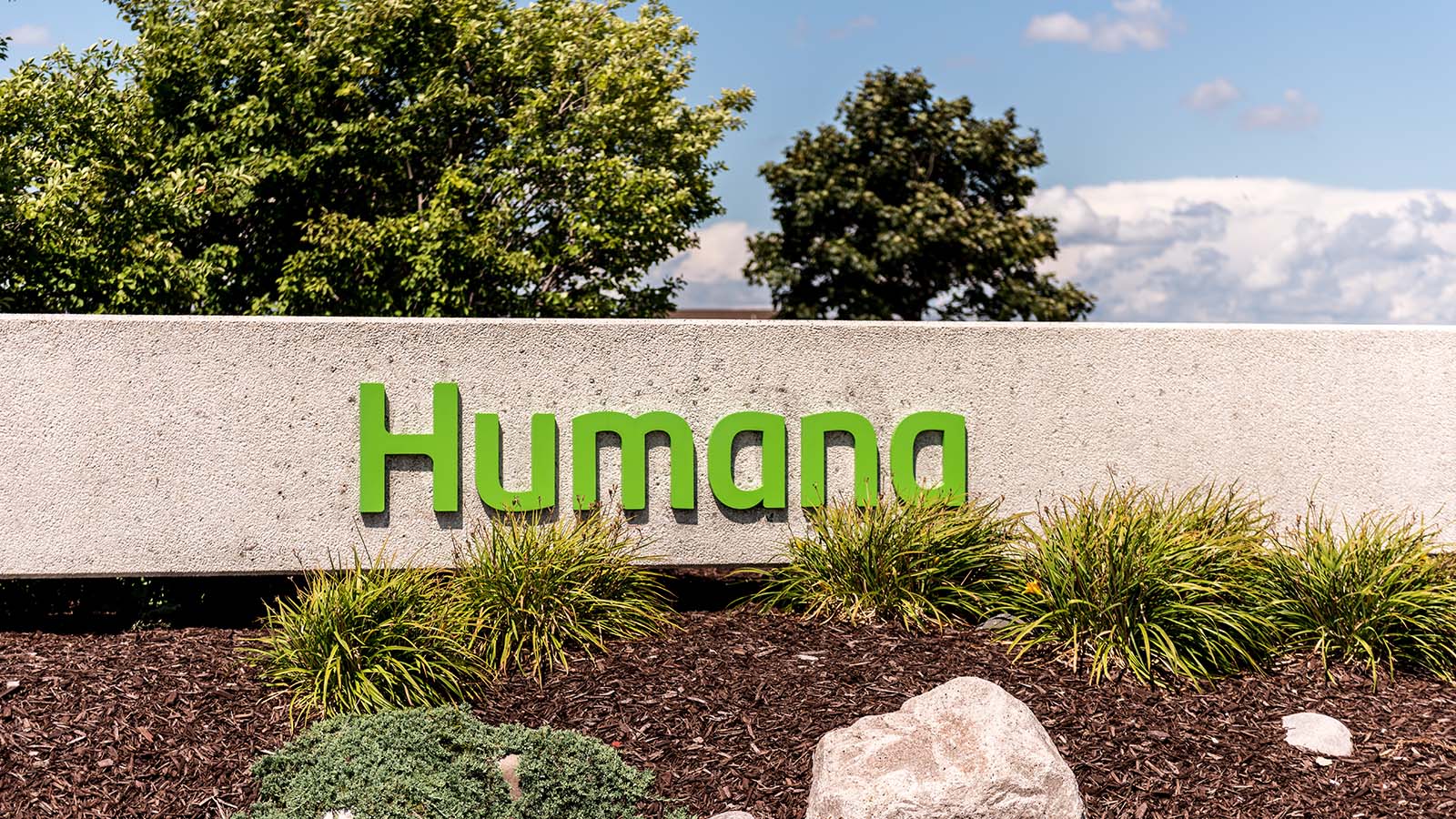 Humana NYSE:HUM Analysis and Market Dynamics Amidst Financial Shifts